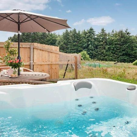Cosy Cottage In The Blackdown Hills Devon Honiton Εξωτερικό φωτογραφία