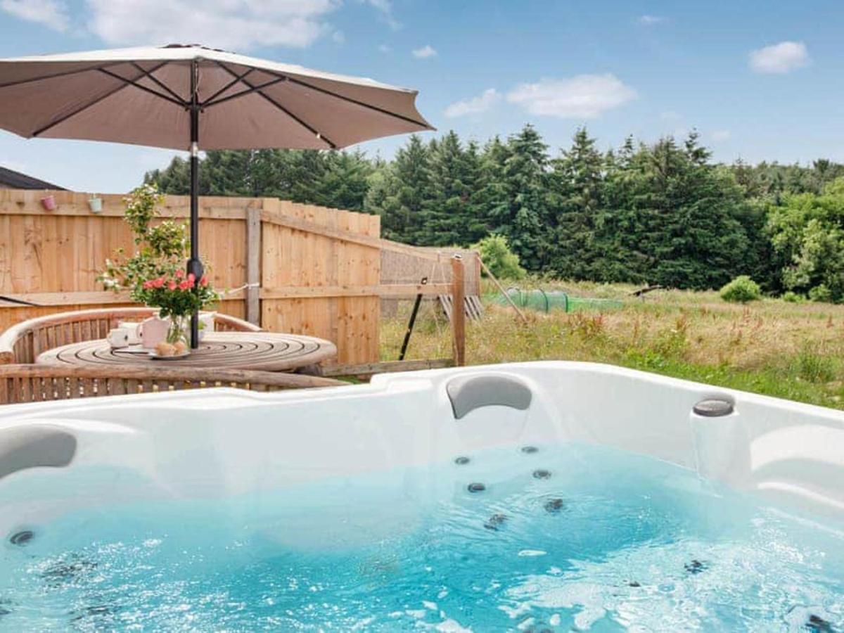 Cosy Cottage In The Blackdown Hills Devon Honiton Εξωτερικό φωτογραφία