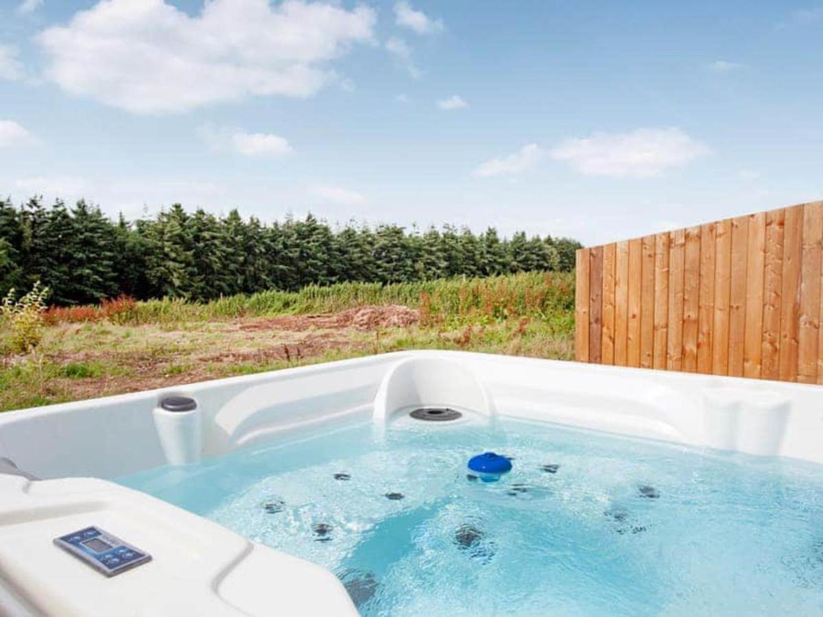 Cosy Cottage In The Blackdown Hills Devon Honiton Εξωτερικό φωτογραφία