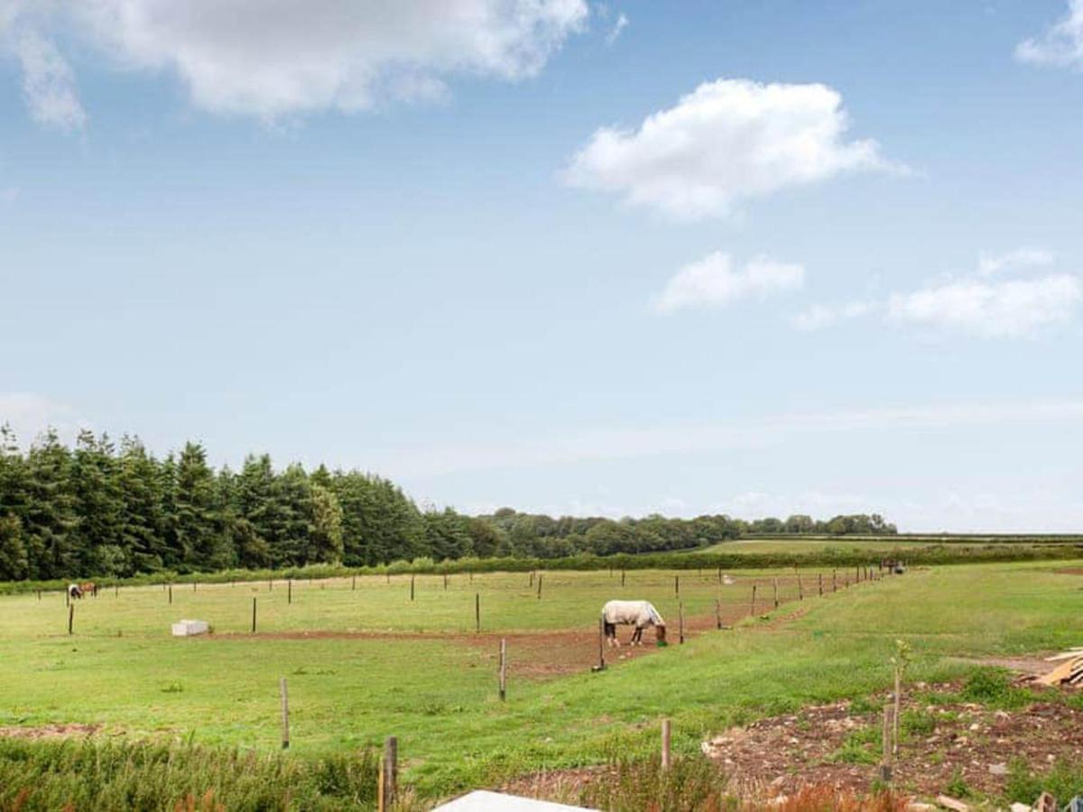 Cosy Cottage In The Blackdown Hills Devon Honiton Εξωτερικό φωτογραφία